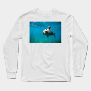 California sea lion pup (C023/1463) Long Sleeve T-Shirt